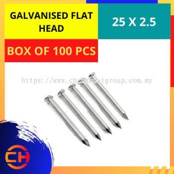 GALVANISED FLAT HEAD NAIL [25 X 2.5]