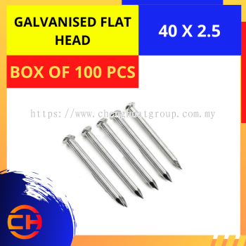 GALVANISED FLAT HEAD NAIL [40 X 2.5]