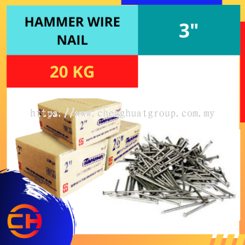 HAMMER WIRE NAIL [3'']