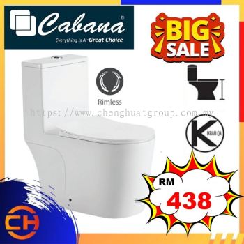 One Piece Water Closet Washdown With Rimless Flushing Technology (BATHROOM) /toilet bowl toilet flush tandas