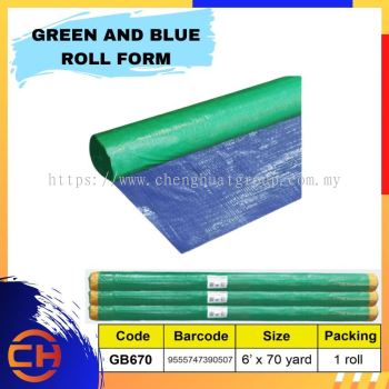 GREEN AND BLUE ROLL FORM CANVAS