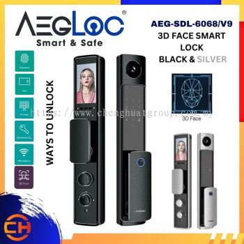 AEGLOC AEG-SDL-6068/V9 3D FACE SMART PUSH PULL DOOR LOCK ( BLACK / SILVER )