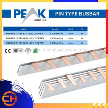 PEAK ELECTRIC PIN TYPE BUSBAR BUSBAR 1P / 3P PIN 63A / 100A 100% 铜