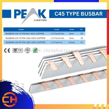 PEAK ELECTRIC C45 型母线 BUSBAR C45 1P / 3P PIN 63A / 100A 100% 铜