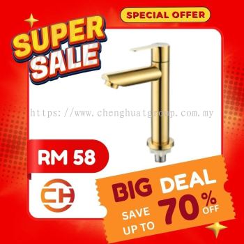 MWT8703SS-FGY BASIN FAUCET  Stainless Steel 304 Basin Cold Tap Bathroom Faucet Water PIllar Toilet Kitchen Tap **RM 58**