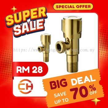 MWT2126SS-FGY  STAINLESS STEEL ANGLE VALVE **RM 28**