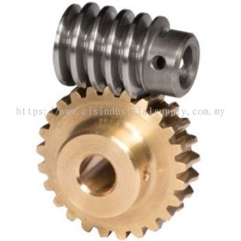 Worm Gear-1x1