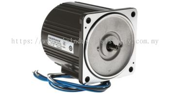 Ac Motor