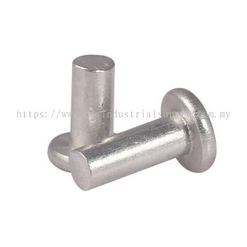 Solid Rivet ( Flat )