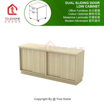 Dual Sliding Door Low Cabinet