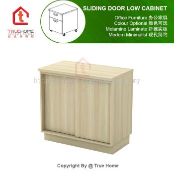 Sliding Door Low Cabinet