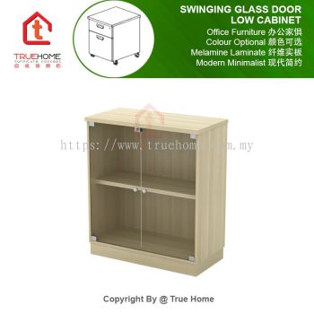 Swinging Glass Door Low Cabinet