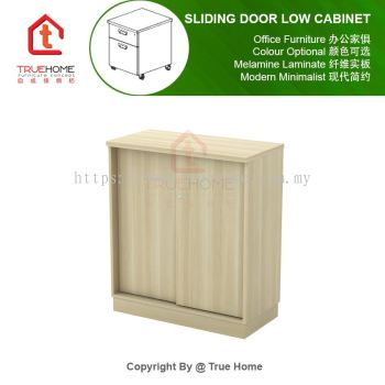 Sliding Door Low Cabinet