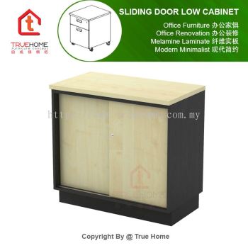 Sliding Door Low Cabinet