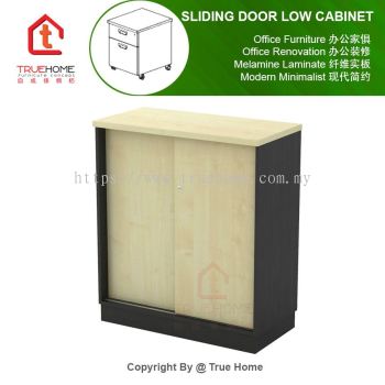 Sliding Door Low Cabinet