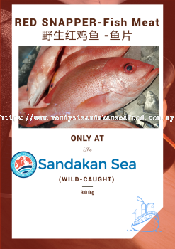 (WILD-SEA)- Red Snapper- Fish Fillet(No Bone) 