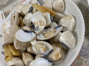 (WILD) SDK Premium White Clam(Sha Ba)(Sand removed) 山打根野生沙白（走沙）