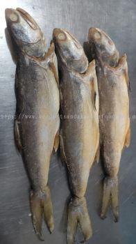 Premium Salted Fish- Threadfin Fish (Senangin) （品质）山打根梅香咸鱼-野生马友