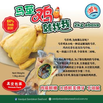  (Farm) Ma Cao Chicken 马草鸡 - 2kg abv