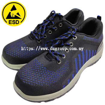 ESD Safety shoe