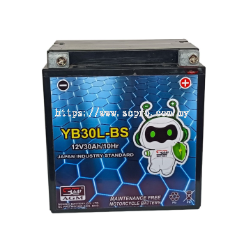 YB30L-BS AGM