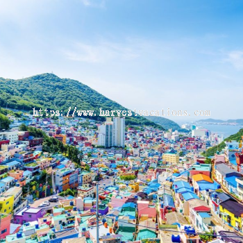 6D4N BUSAN/GYEONGJU + ORYUKDO SKYWALK TRAVEL PACKAGE