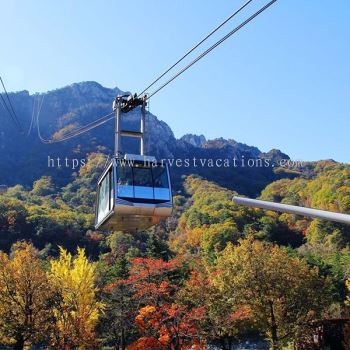 8D6N SEOUL/ JEJU ISLAND/ NAMI ISLAND/ MT SORAK/ JEONGDONGJIN TRAVEL PACKAGE