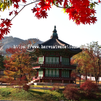 6D4N SEOUL/ NAMI ISLAND / SOYANGGANG SKYWALK + 01 DAY FREE & EASY TRAVEL PACKAGE