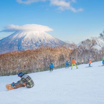 7D5N HOKKAIDO の SKI FUN