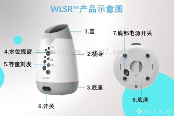 WLSR Disinfectant Water Generator 自制消毒原液机