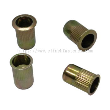 Round with/without Knurling Body Rivet Nut / Nut Insert