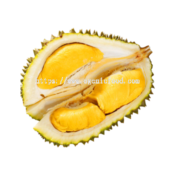 Durian Tekka 竹脚 (D160)