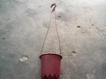 2930H 6INCH FLOWER POT