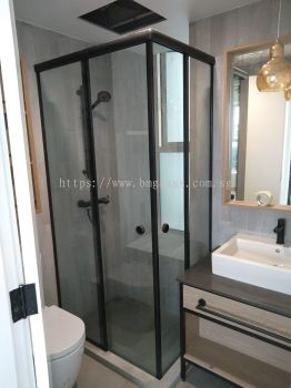 Premium Lavatory Shower Screen for Stylish Bathrooms