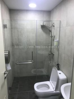 Lavatory Shower Screen