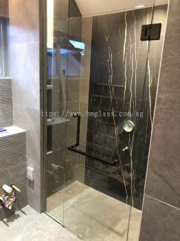 Lavatory Shower Screen with Black Handle