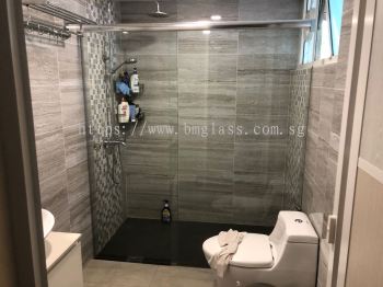 Lavatory Shower Screen