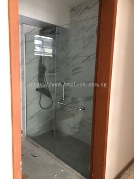 Lavatory Shower Screen