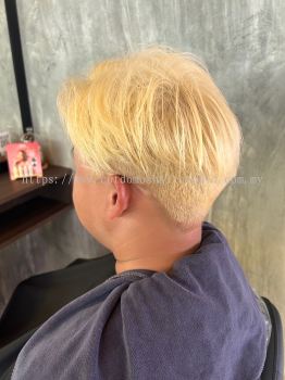 Men Hair Bleaching Blonde 