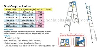 Dual-Purpose Ladder