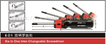 Six In One Inter-Changeable Screwdriver