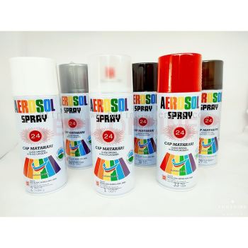 Aerosol Spray Paint