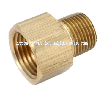 Brass Adaptor 