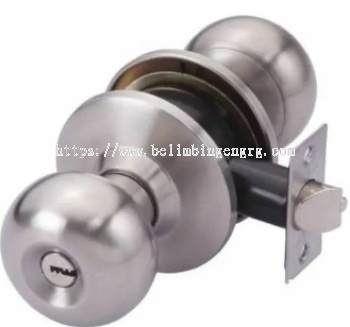 Cylinder Door Lock