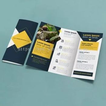 A4 Flyer/Brochure