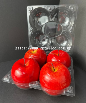 FRUIT CONTAINER : NB 002 ( 4 PCS )  