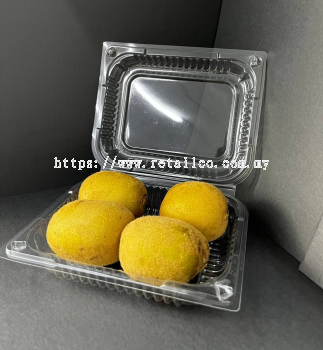 FRUIT CONTAINER : KW4  (KIWI 4 PCS)