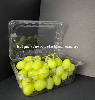 FRUIT CONTAINER : FC 108