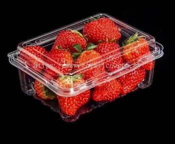 FRUIT CONTAINER : FP 500