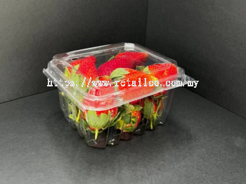 FRUIT CONTAINER : FC 110